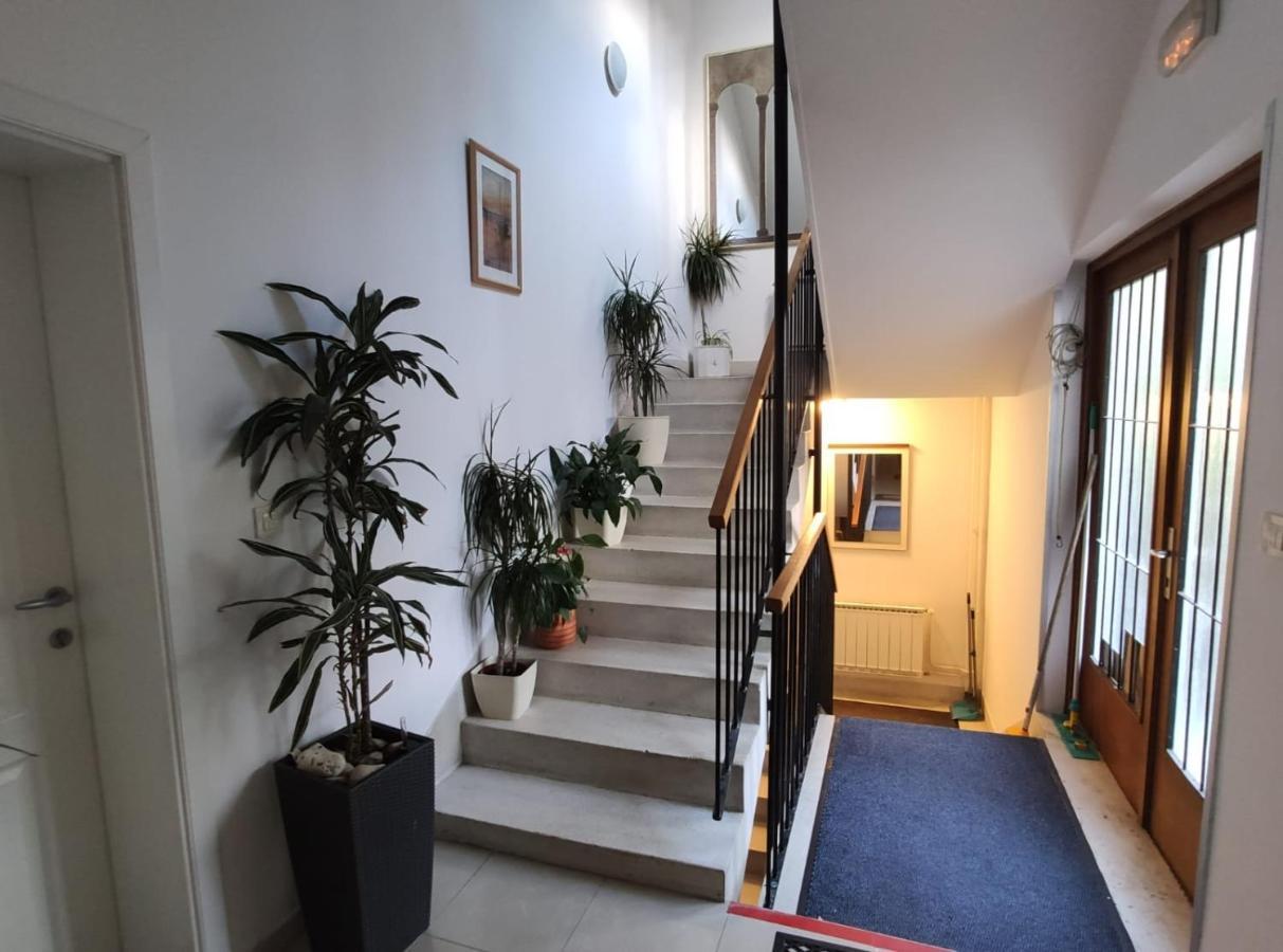 Ivana Apartman 2 تْسْغيكفانِتْسا المظهر الخارجي الصورة